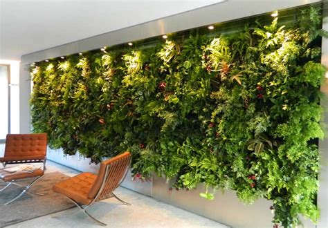 Ventajas de instalar un jardin vertical interior en tu casa