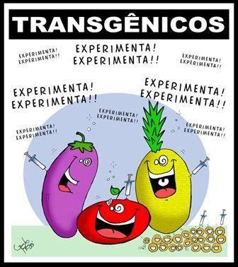 Ventajas y desventajas de los alimentos transgénicos   Gestion.Org