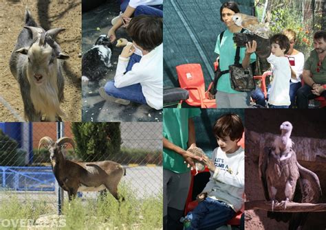 VER ANIMALES EN MADRID, 5 ALTERNATIVAS AL ZOO