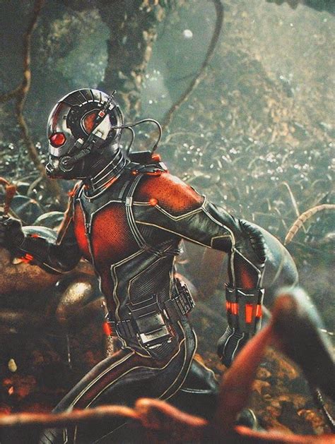 Ver Ant Man Online Latino   diftapelicula