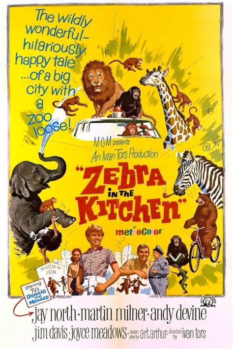 Ver Película: Zebra in the Kitchen [1965] Película Completa en Español ...