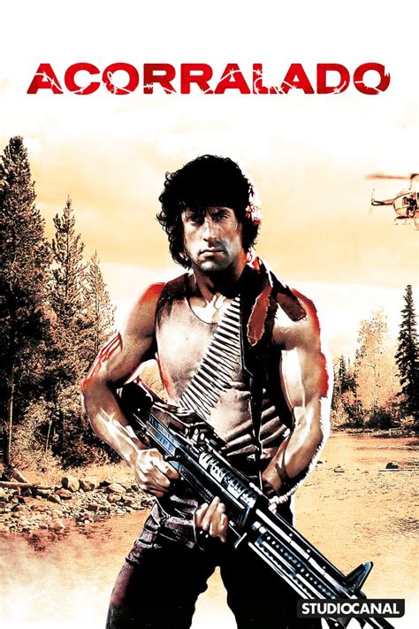 Ver Rambo: Acorralado Película Completa Online