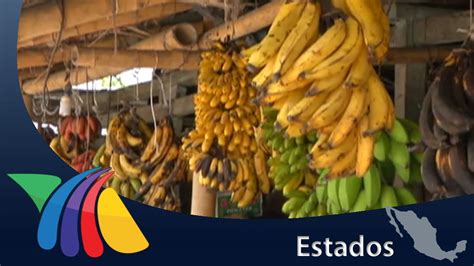 Veracruz produce gran variedad de plátanos | Noticias de ...