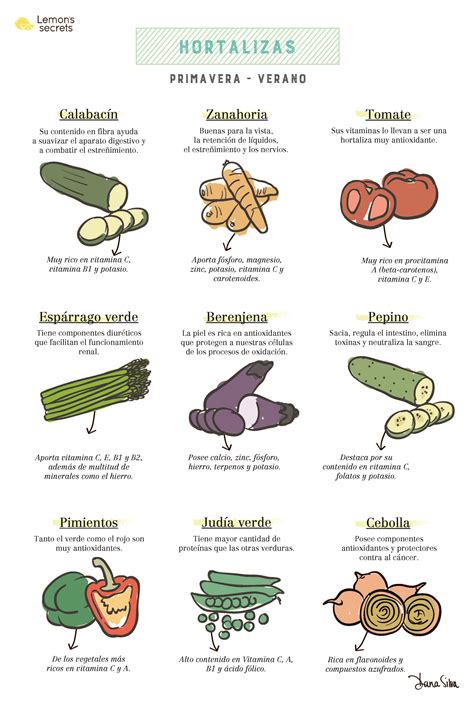 Verduras y hortalizas de primavera: Cuales son y sus beneficios ...