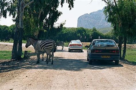 Vergel Safari Park   Municipality of Ondara