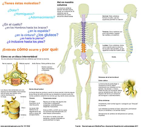 Vertebral Column: Vertebral Column Cancer