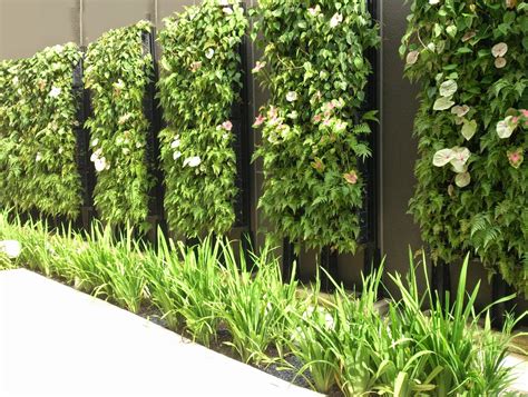 Vertical Garden System for internal and external walls of ...