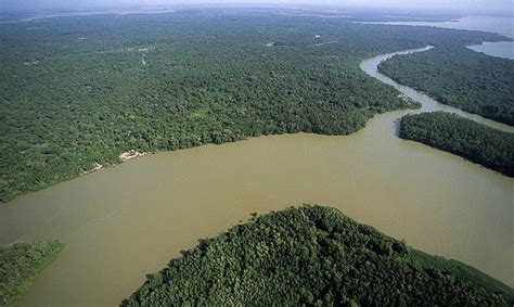 Vertiente del Amazonas: ¿dónde se origina, cuántos ...