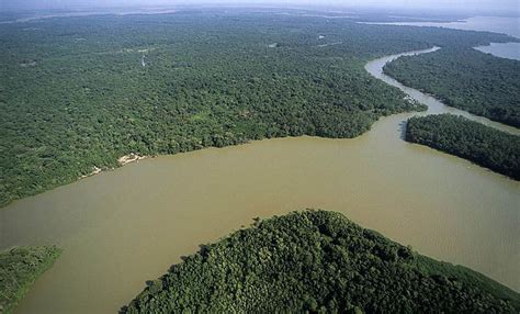 Vertiente del Amazonas y sus ríos ¿Dónde se origina ...