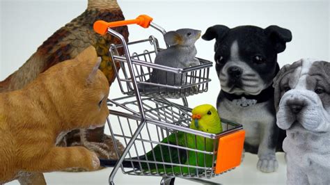 Vet CloudMontar una tienda de animales: ¿es rentable este negocio ...