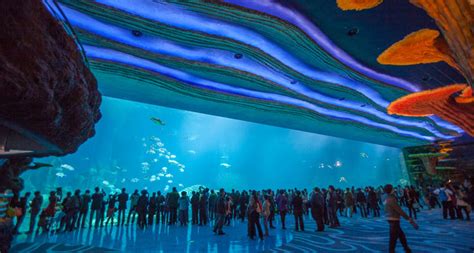 Viajando Con Familia: El Acuario más grande del mundo ...