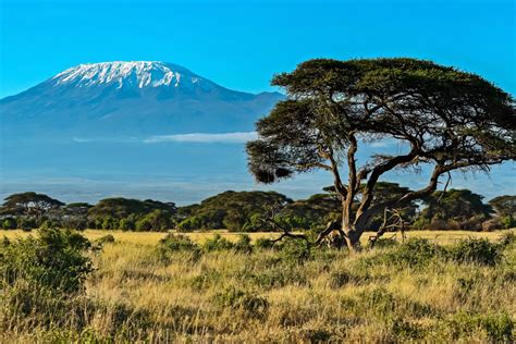 Viaje a Kenia. Safari Kongoni con extensiones opcionales