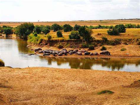 Viaje a Kenia y Tanzania: el mejor safari del mundo | ¡A ...