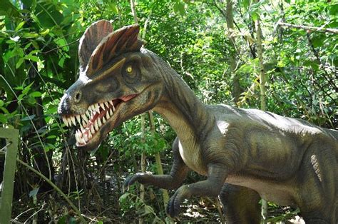 Viaje al mundo de los dinosaurios   La Nación