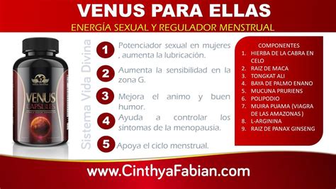 Vida Divina Productos » Cinthya Fabian