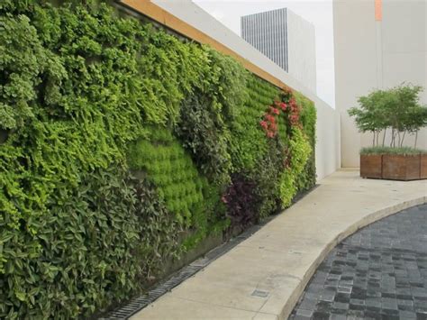 VIDA VERDE: Muro Verde Andares