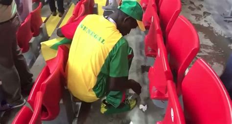 Video: Afición de Senegal limpia el estadio tras el ...