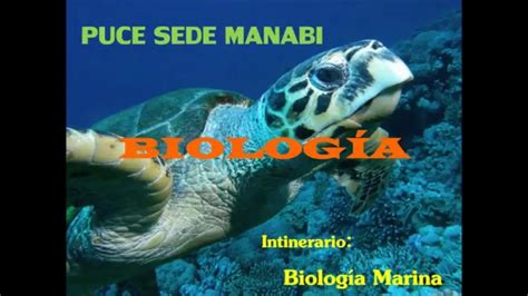 Video Carrera Biología Biología Marina Prom2016   YouTube