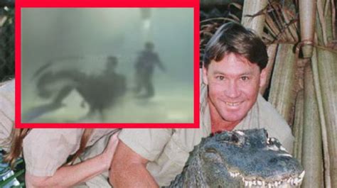 VIDEO: Filtran momento exacto de la muerte de Steve Irwin,  cazador de ...