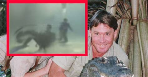 VIDEO: Filtran momento exacto de la muerte de Steve Irwin, cazador de ...