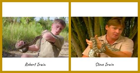 [VIDEO] Like Father, Like Son: Robert Irwin gets Bitten by a Python ...