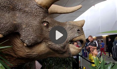 Vídeos 3D: Un sorprendente dinosaurio impreso en 3D ...