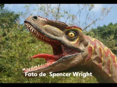 Videos de dinosaurios   Imagenes de dinosaurios 2   YouTube
