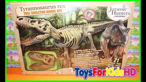 Videos de Dinosaurios para niños   Esqueleto de Dinosaurio ...