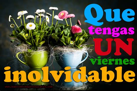 Viernes inolvidable | Feliz viernes, Frases graciosas de ...