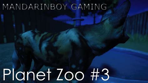 Vildhundar och nytt personalområde | Planet Zoo #3   YouTube