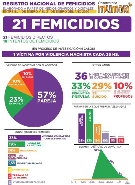 Violencia de género en Argentina: el año arrancó con un ...