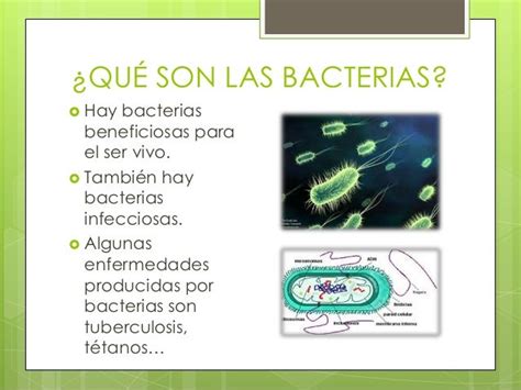 Virus, bacterias y vacunas