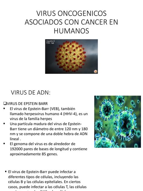 VIRUS ONCOGENICOS ASOCIADOS CON CANCER EN HUMANOS.pptx | Virus | Organismos