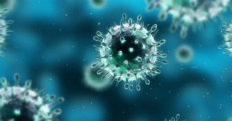 Virus y priones: características   Biología