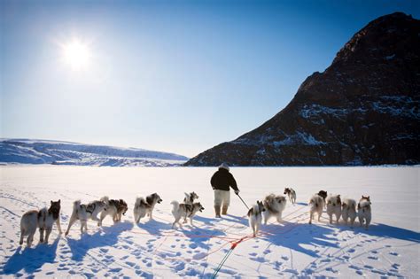 Visit Greenland: 9 facts that will make Greenland your ...