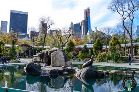 Visit the Central Park Zoo in New York