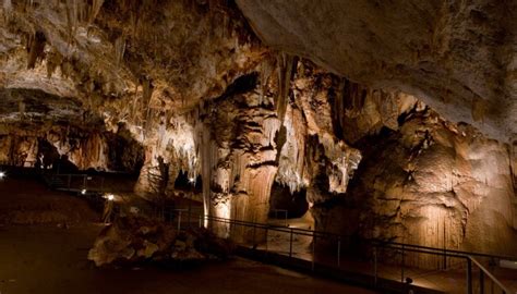 Visit the Pozalagua caves in the Carranza valley   Viajes ...