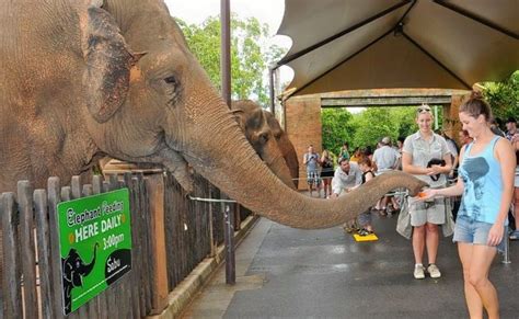 Visit To Australia Zoo In Brisbane