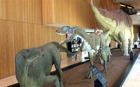 Visita al Museo Paleontológico de Cuenca | Museos, Cuadros ...