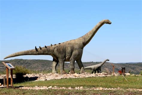 Visita al Museo Paleontológico de Cuenca | Museos ...