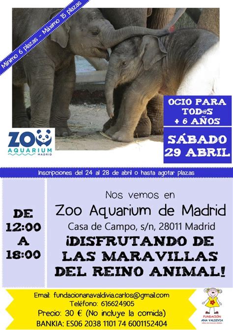 Visita al Zoo Aquarium de Madrid | Fundación Ana Valdivia