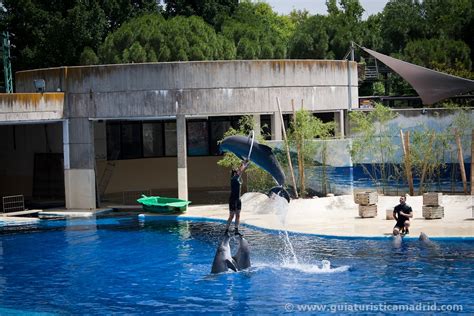 Visita al Zoo Aquarium de Madrid
