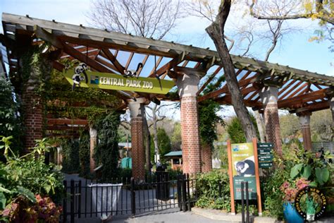 Visitar el zoo de Central Park en Nueva York