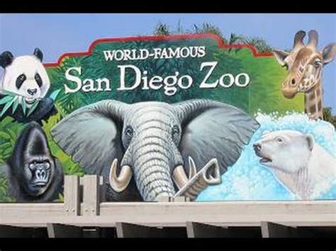 Visiting The San Diego Zoo  in HD    YouTube