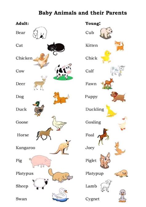 Visual Dictionary: Animals in English   ESLBuzz Learning English