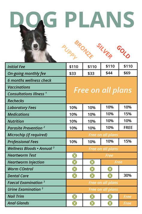 Vital Pet Care Plans | Karingal Veterinary Hospital