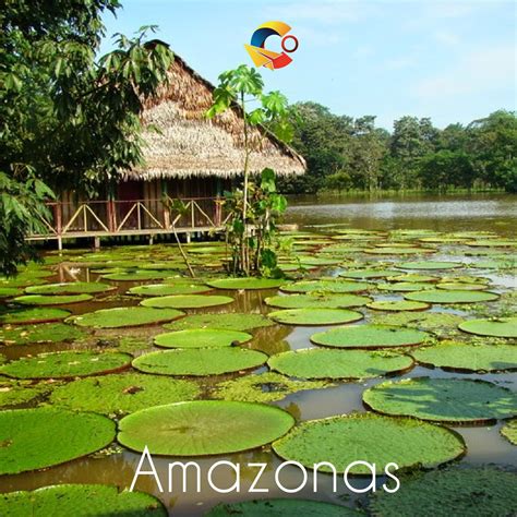 Vive en un plan todo incluido el #amazonas, #viajes # ...