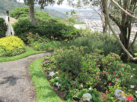 VIVERO CASA VERDE