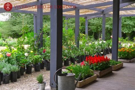 Vivero Cerro de los Pinos en San Martín De Los Andes. Teléfono y más info.