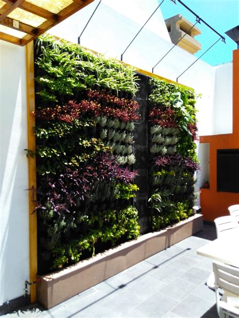 Vivero El Bambu on Instagram: “Jardines Vertical con muro lloron! Te ...